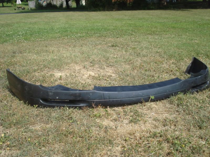 DG lip FS