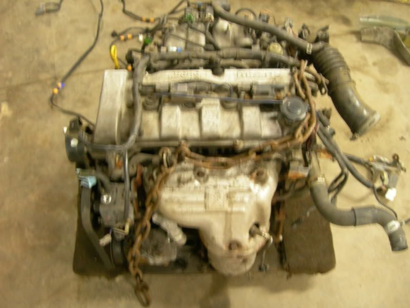 proengine014.jpg