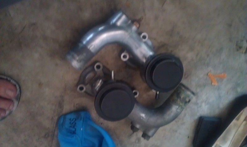 IMAG0274.jpg