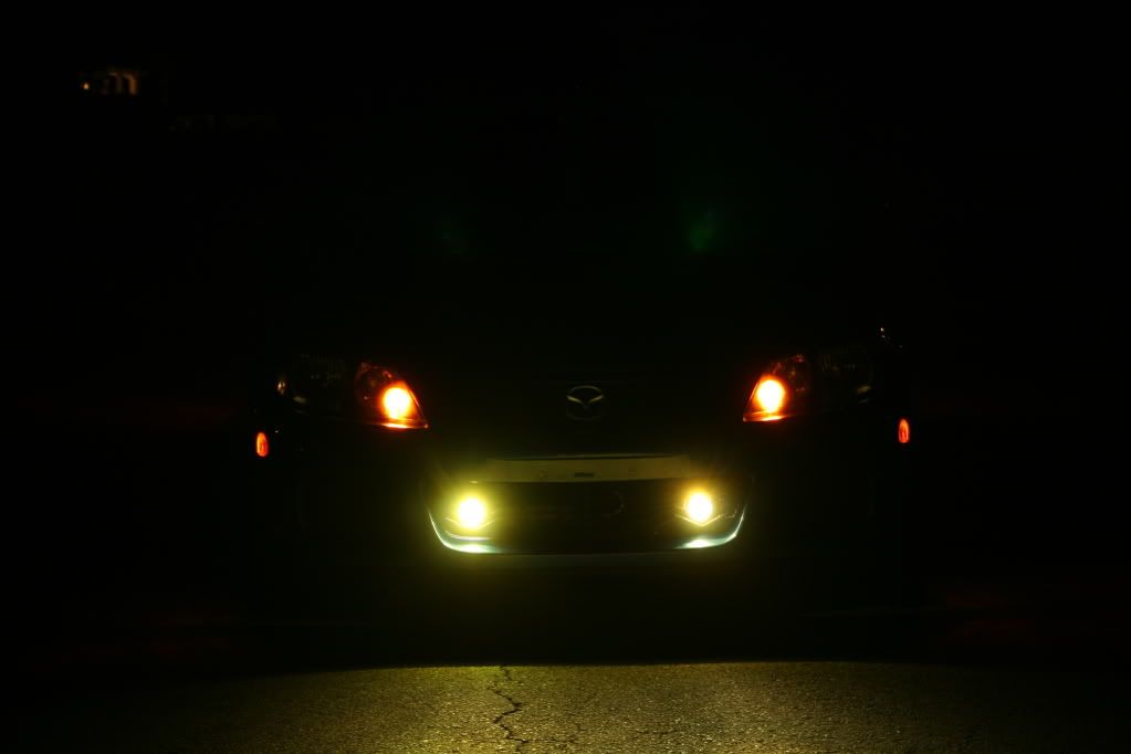 light016.jpg