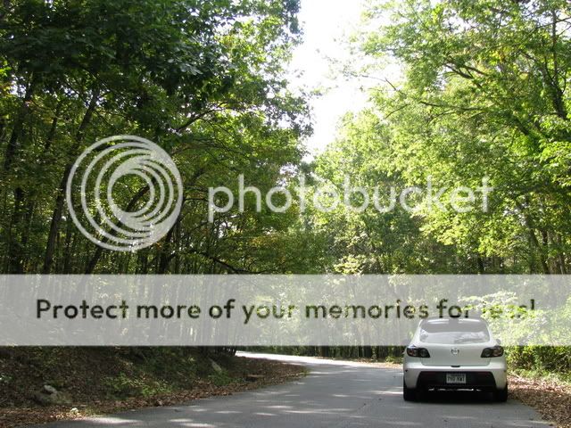 IMG_0934.jpg