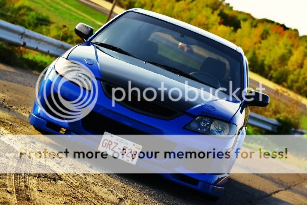 IMG_0016.jpg