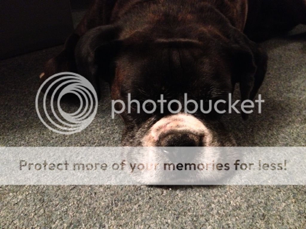 IMG_0480_zps0ac1756a.jpg