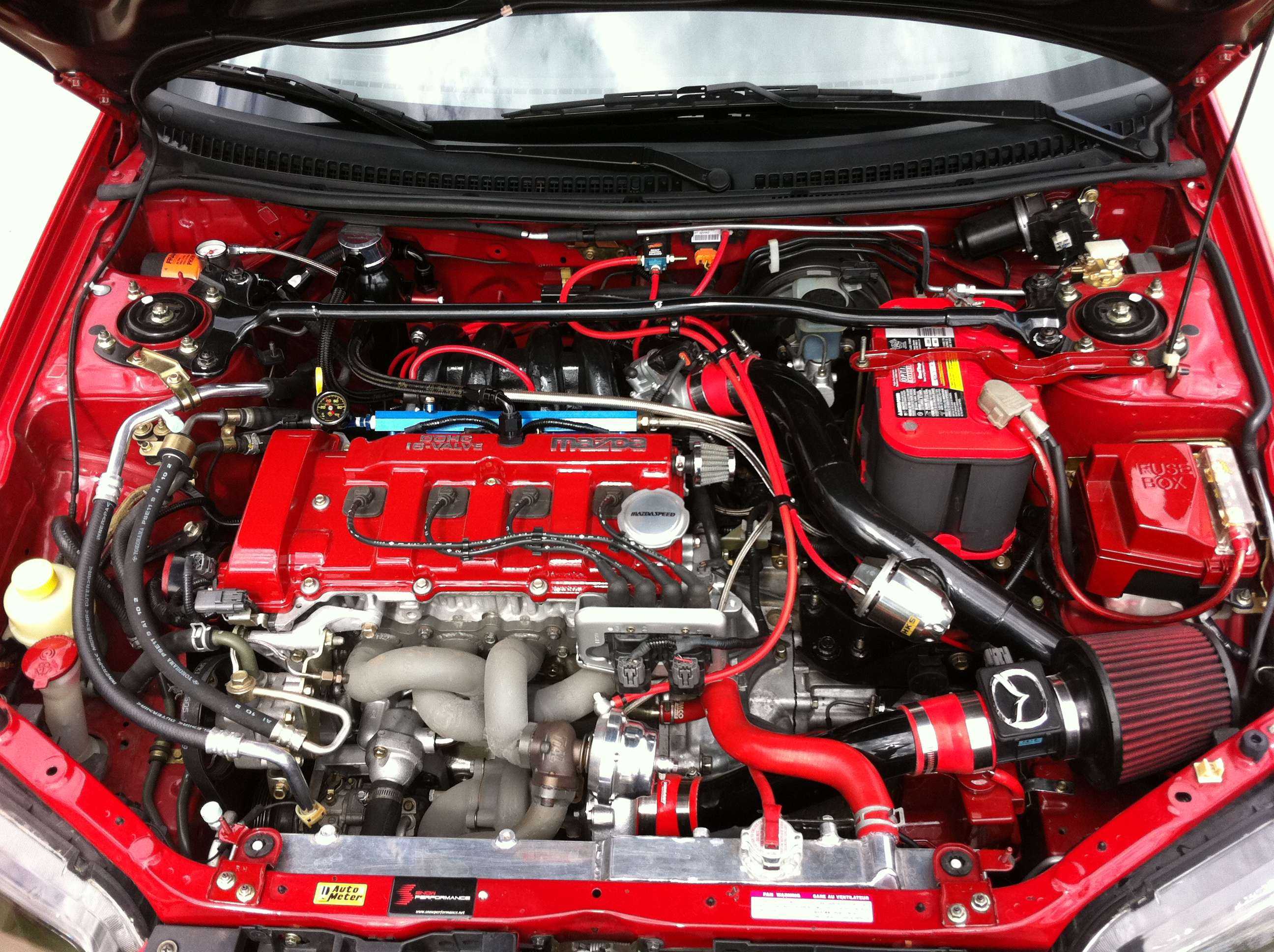 img1318sq.jpg