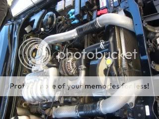 CIMG7701.jpg