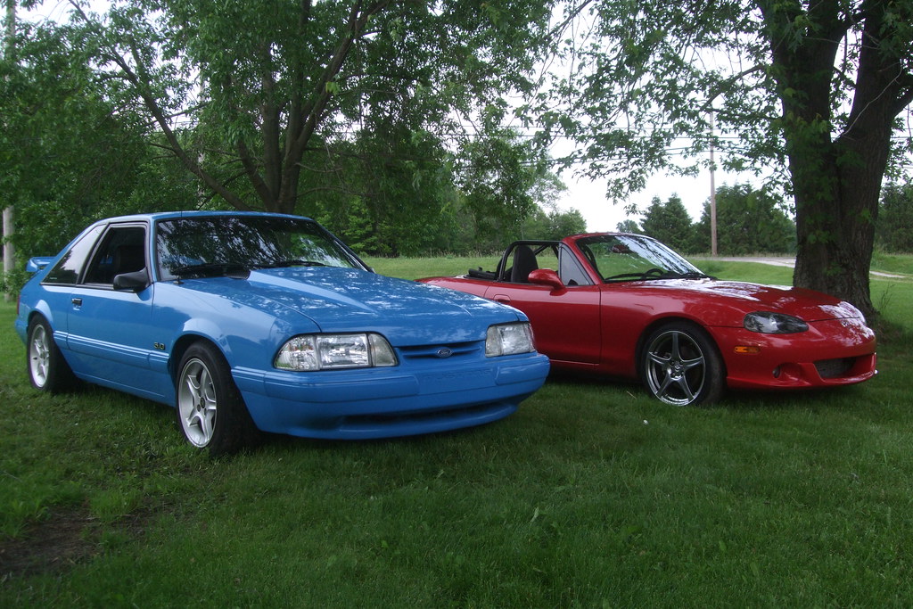 3596233089_d9d2562357_b.jpg