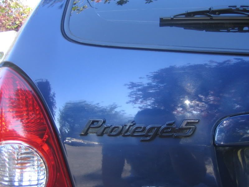 car19.jpg