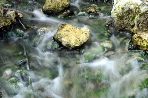 DSC_0145.JPG
