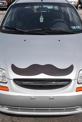 Giant-Magnetic-Mustache3.jpg