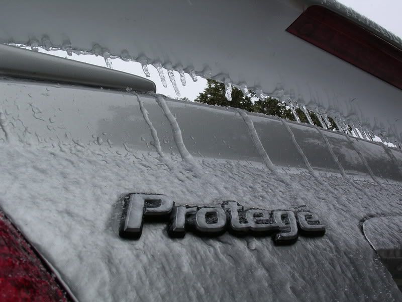 SnowMSP006.jpg