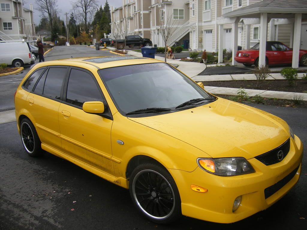 newpicsnovember028.jpg