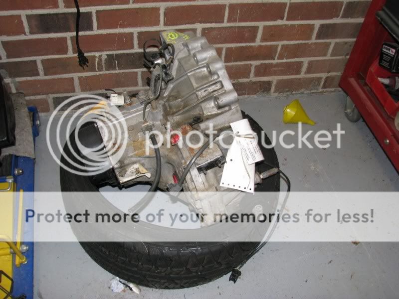 IMG_1430800x600.jpg