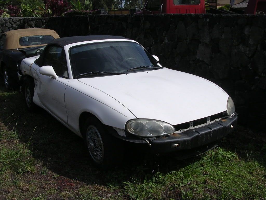 DSCN5781.jpg