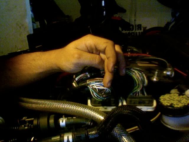 Photo23.jpg