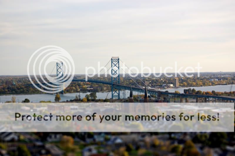 bridge-1.jpg