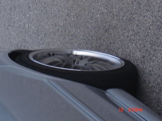 DSC05275.jpg