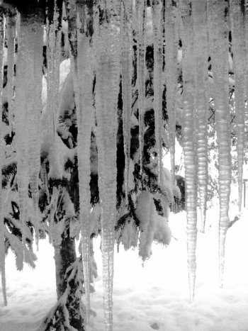 icicles.jpg