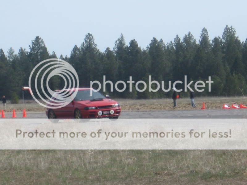 IMG_7646.jpg