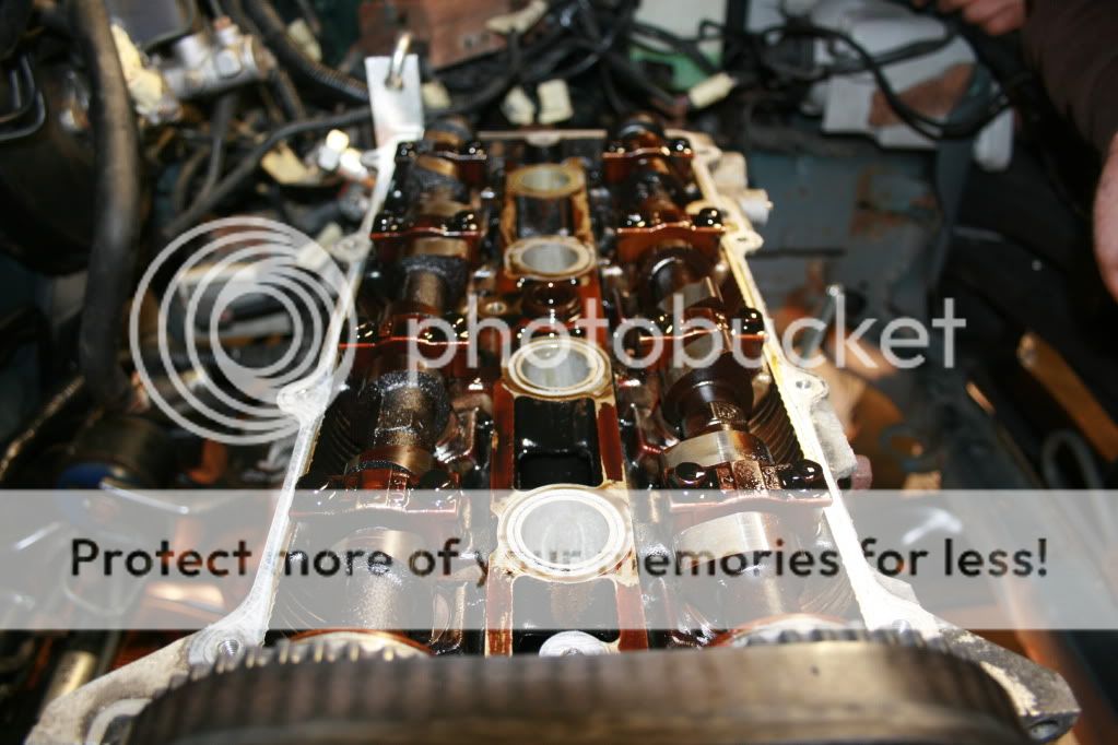 IMG_6978.jpg