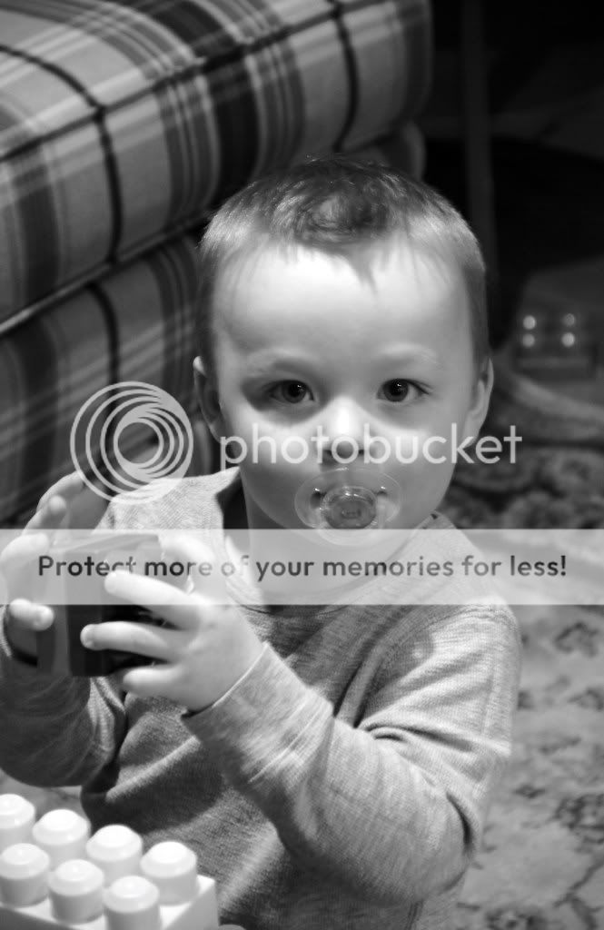 IMG_4177.jpg