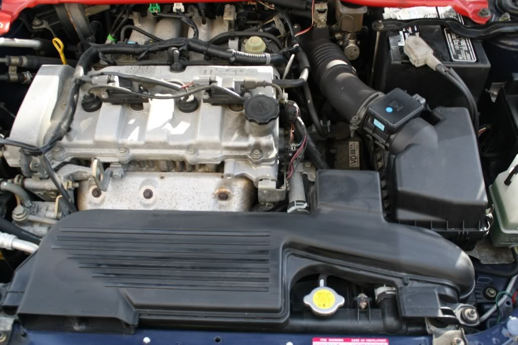 IMG_6127.jpg