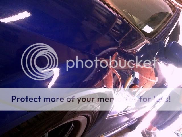 photo26.jpg