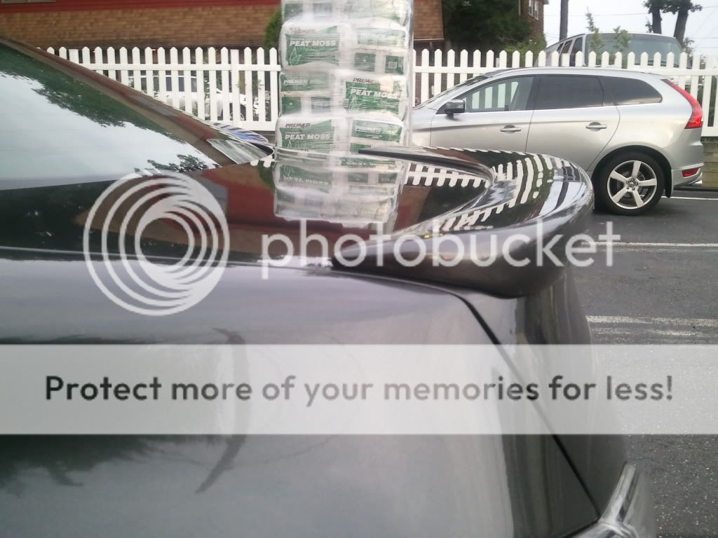 WP_000370.jpg