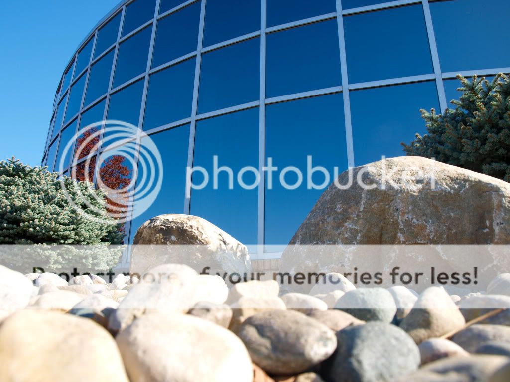 lydencenterbestpicture.jpg