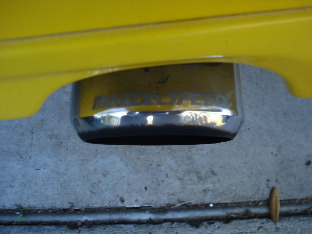 DSC02732.jpg