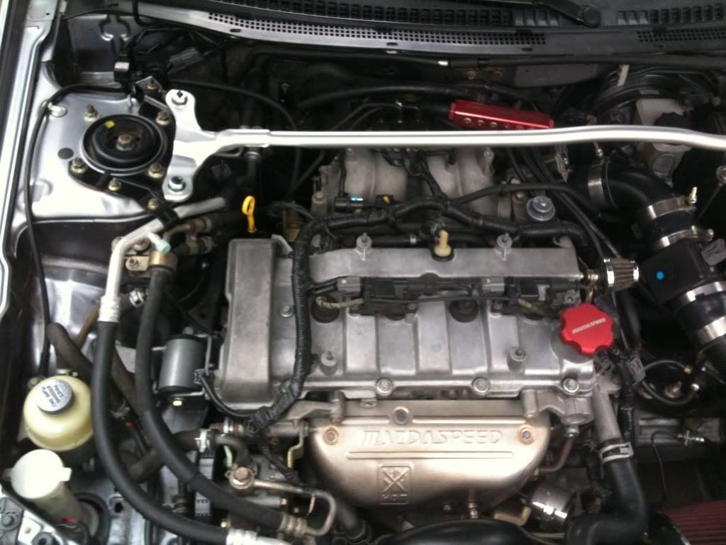 f2288751.jpg