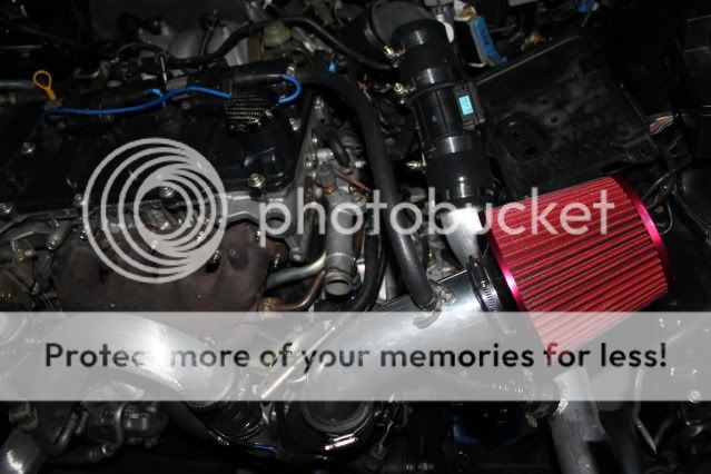 IMG_2607.jpg
