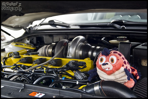 4672556537_f91568a1ac.jpg