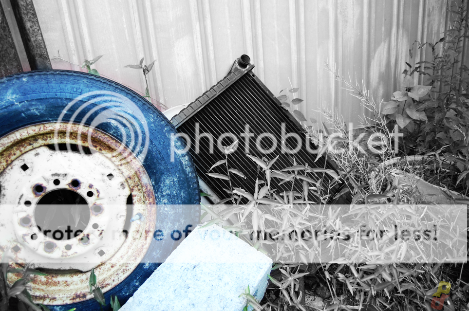 Picture3.png