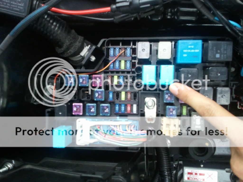 2011-03-29180445.jpg