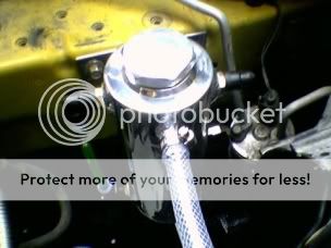 5d11087dcff6.jpg