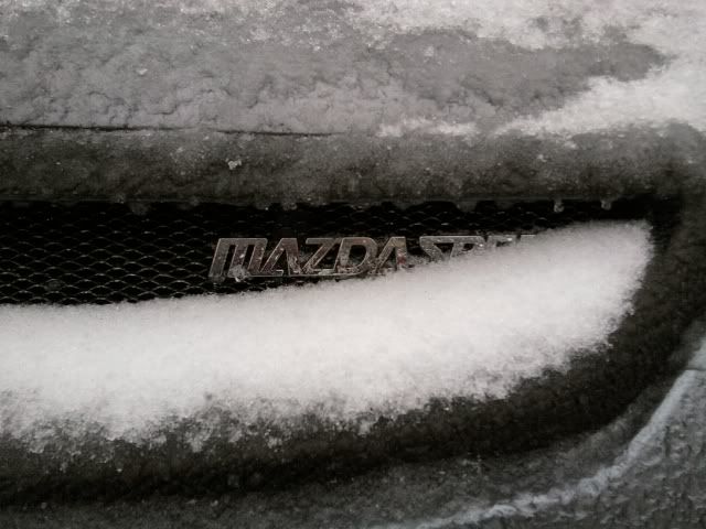 Photo0105.jpg
