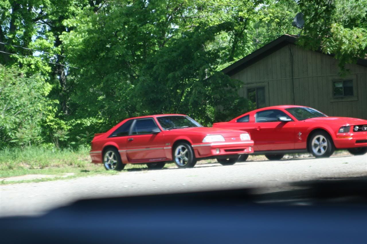 IMG_9273Custom.jpg