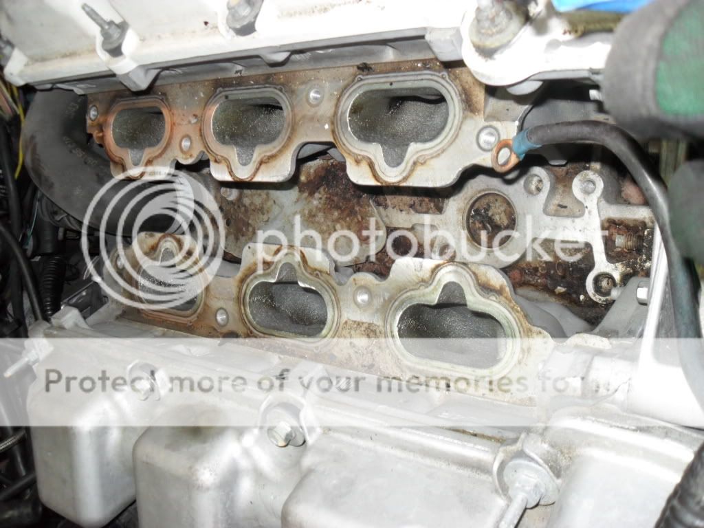SDC10136.jpg
