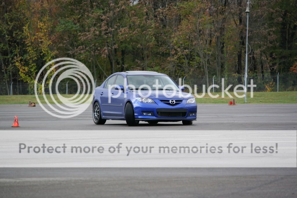 IMG_2241.jpg