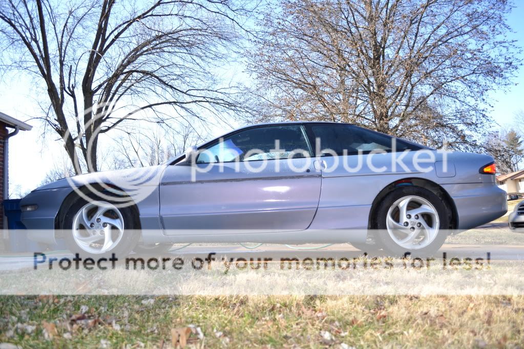 DSC_0127.jpg