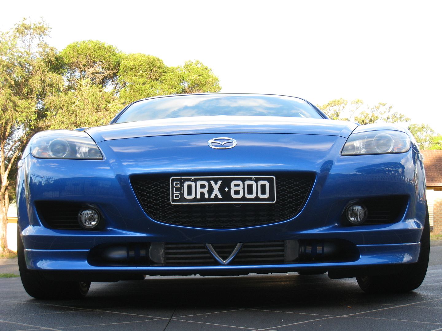04-07-2010016.jpg