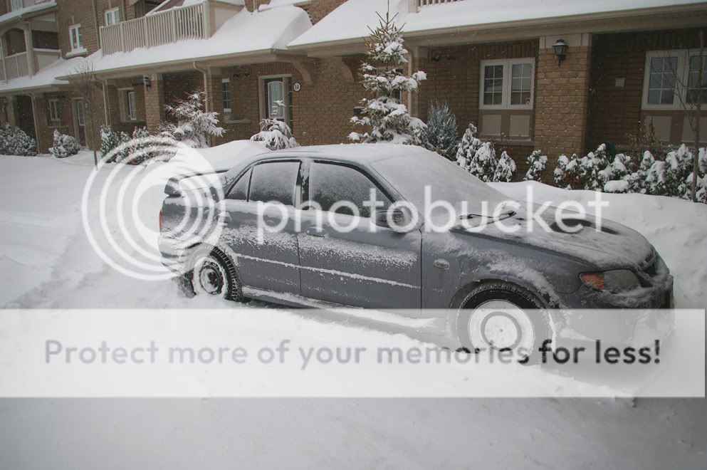 winter6.jpg