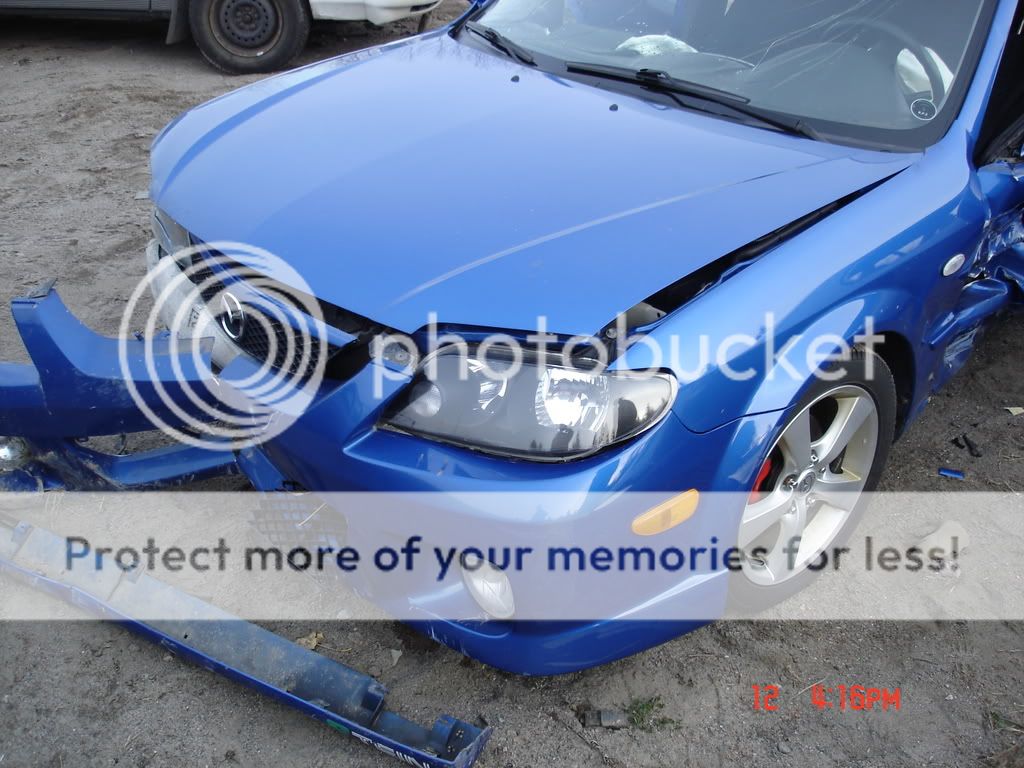 DSC01266.jpg