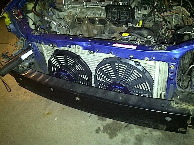 IMG-20110318-00186.jpg