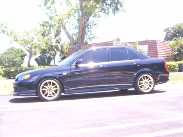 wingless3.jpg