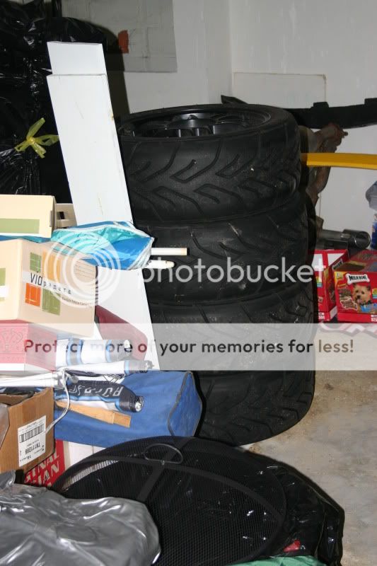 MiscFeb2011007.jpg