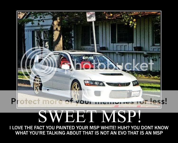 WHITEMSP.jpg