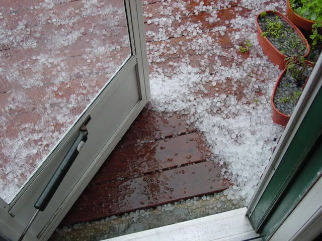 hail3.jpg