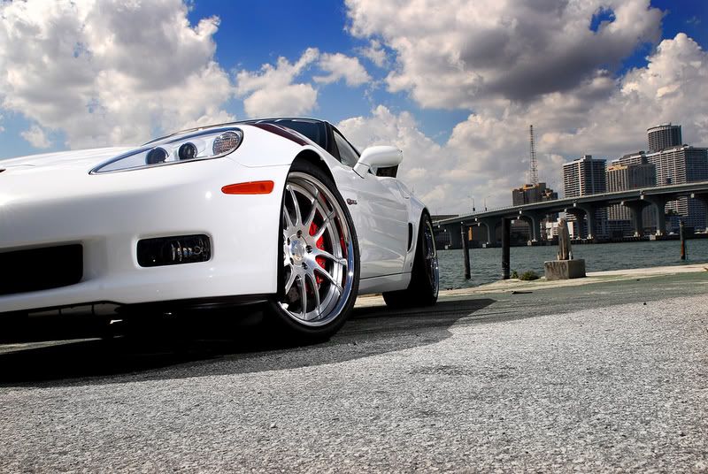 whiteZ06.jpg