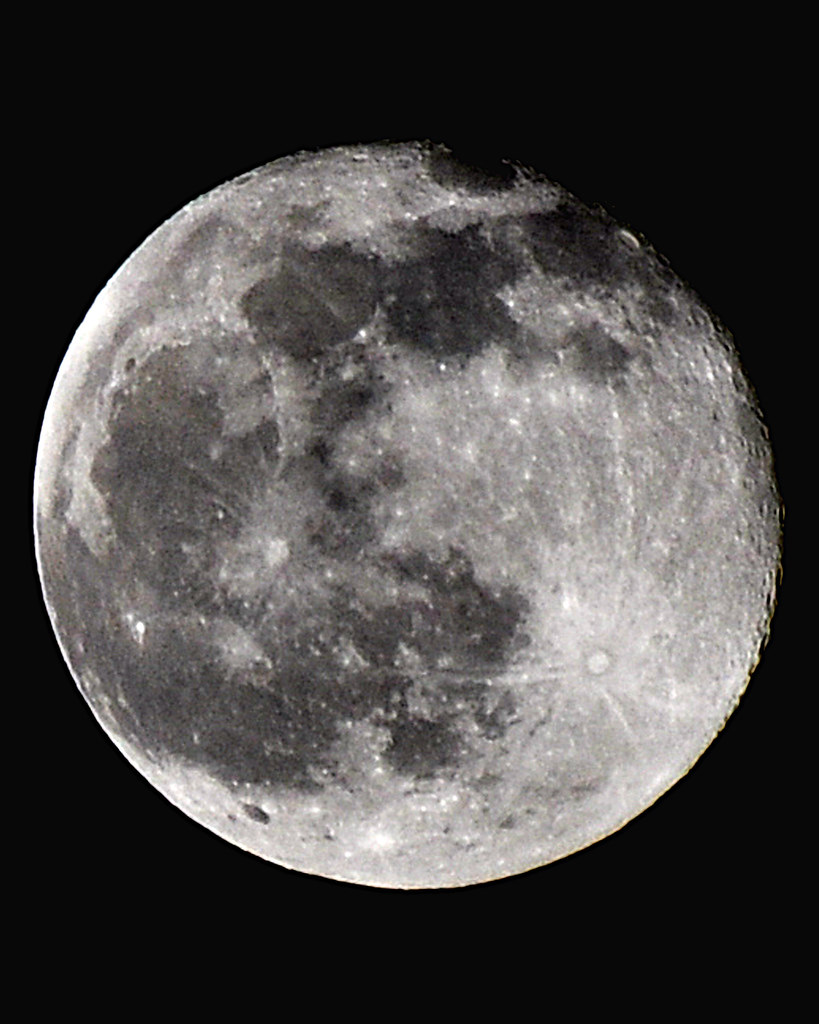 5113363870_1721bcb687_b.jpg